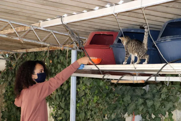 gaziantepte-dehsete-dusuren-kedi-cinayetleri-hepsi-sislenmis-1637569185066.jpg Gaziantep’te dehşete düşüren kedi cinayetleri! Hepsi şişlenmiş - 3