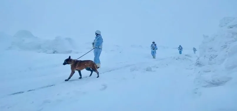 MSB fotoğrafları paylaştı! Ağrı'da yapılan devriye faaliyetlerinde...