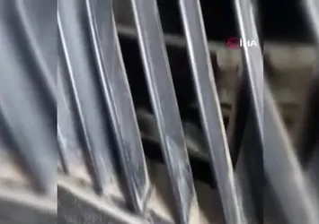 Otomobilin torpidosuna sıkışan yavru kedi ustaların seferberliğiyle kurtarıldı