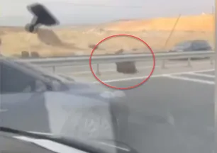 Yer Çakal Köprüsü: Bir anda yola çıktılar! Panik anları kamerada