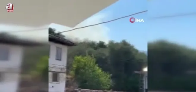 Aydın Bozdoğan'da orman yangını