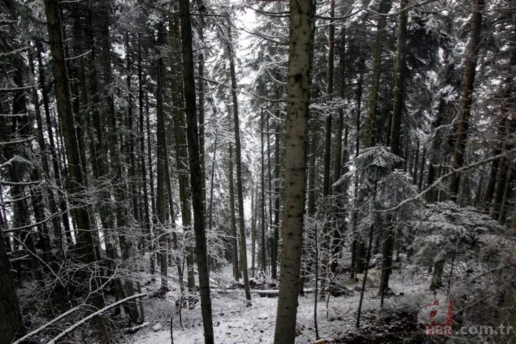 Kocaeli ve Bolu'nun yüksek kesimlerine ilk kar düştü 19