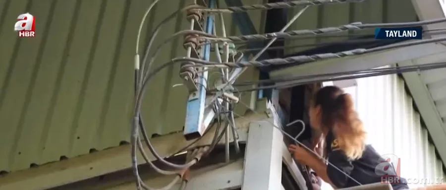 Fabrikada dev piton paniği! Yılan avcısı genç kadın... 8