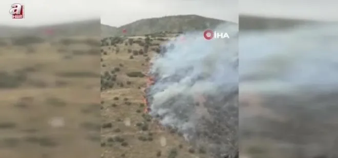 İzmir'de zeytinlik alandaki yangın kontrol altına alındı