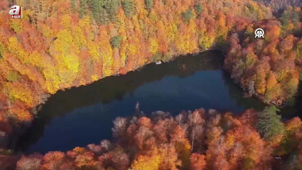 Sonbahar renklerine bürünen orman denizi Yedigöller’de ziyaretçi yoğunluğu