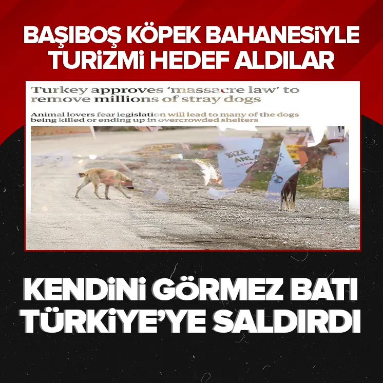 Batı medyasından Türkiyeye operasyon!