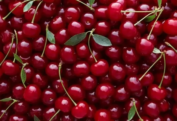 bas-agrisini-sip-diye-kesiyor-20-tanesi-agri-kesiciden-daha-etkili-1715583251045.jpeg Bu besin baş ağrısını şıp diye kesiyor! 20 tanesi ağrı kesiciden daha etkili... - 3