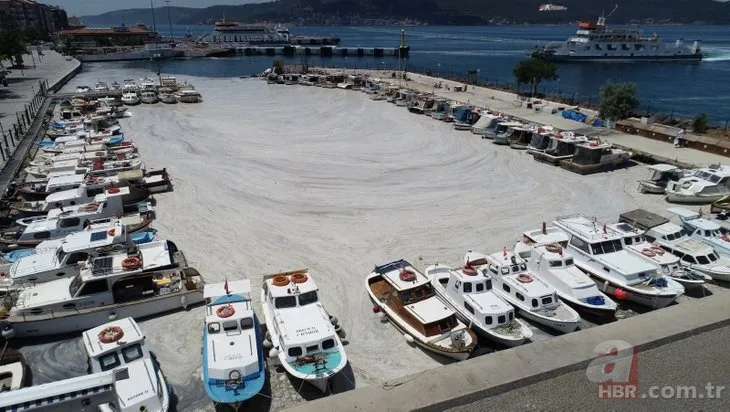 Çanakkale’deki müsilaj yoğunluğu havadan görüntülendi!