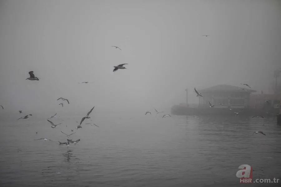 Vapur seferleri iptal edildi mi? İDO, BUDO, ŞEHİR HATLARI... 19 Şubat Çarşamba vapur seferleri son durum 4