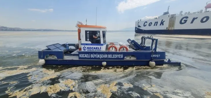 TBMM Araştırma Komisyonu’ndan dikkat çeken müsilaj raporu: Yakıt olur mu?