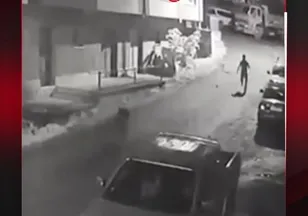 CANINI ZOR KURTARDI