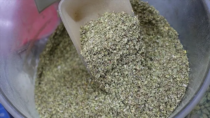 Günde 1 tutam tüketin, kansere savaş açıyor!