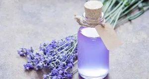 Lavanta yağının bliinmeyen faydaları...