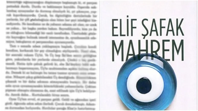 Sapik Yazar Skandalinda Ikinci Vaka Elif Safak Tan Igrenc Satirlar