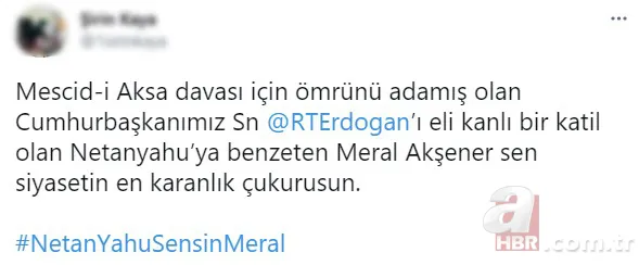 Meral Akşener Başkan Erdoğan'ı bebek katili Netanyahu'ya benzetti! Sosyal medya ayaklandı: #NetanYahuSensinMeral 11