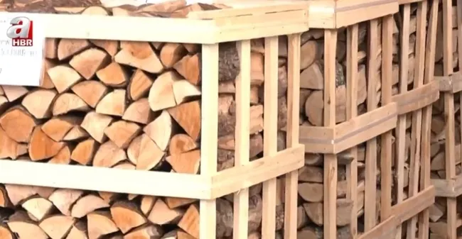 Almanya’da odun hırsızlığı! Çalınmaması için odunlara GPS takıldı