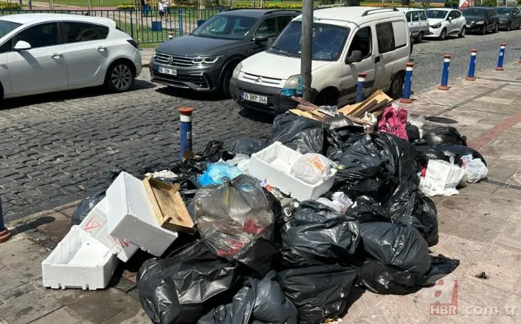 İzmir'de halkı isyan ettiren görüntüler! Karada çöp dağları, havada pis koku ve denizde balık ölümleri... 3