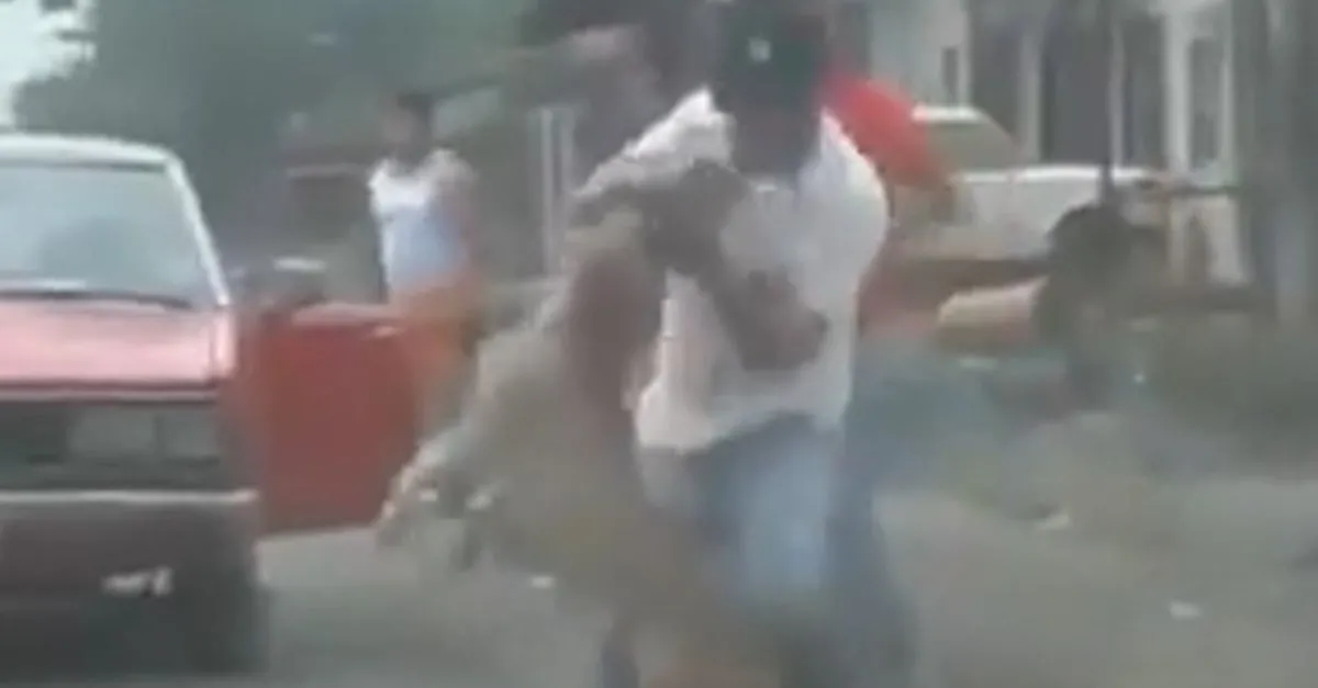 Basibos Pitbull Dehseti Bitmiyor Saldiri Ani Anbean Goruntulendi Ahaber Video Izle