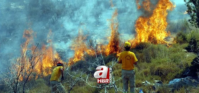 turkiye orman yanginlari son durum yanginlar sonduruldu mu 3 agustos orman yanginlari hangi illerde devam ediyor