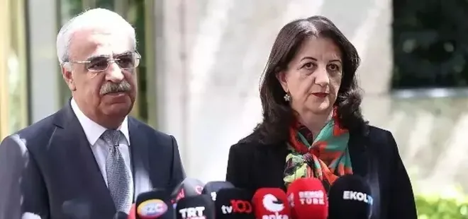 DEM Parti’den İmralı görüşmesi açıklaması