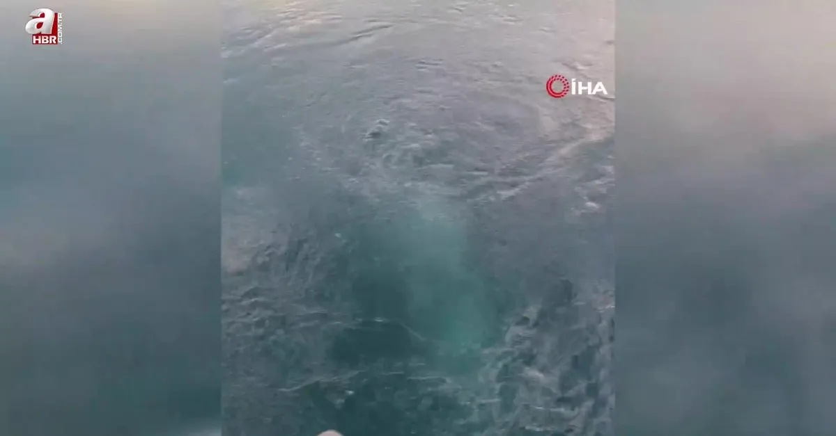 Sapanca Gölü'nde esrarengiz görüntü