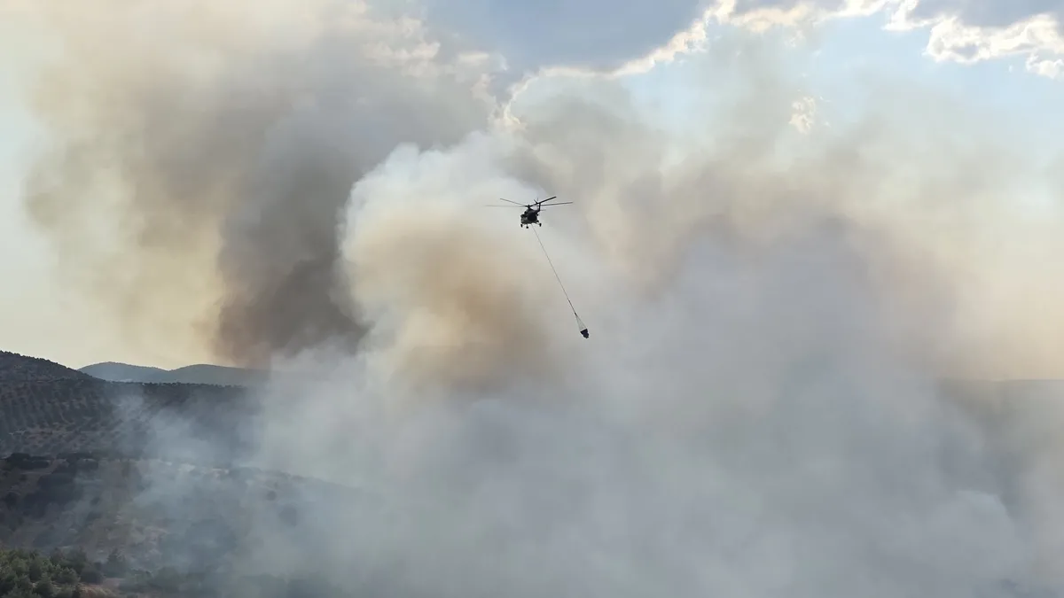 Manisa Kula'da orman yangını!