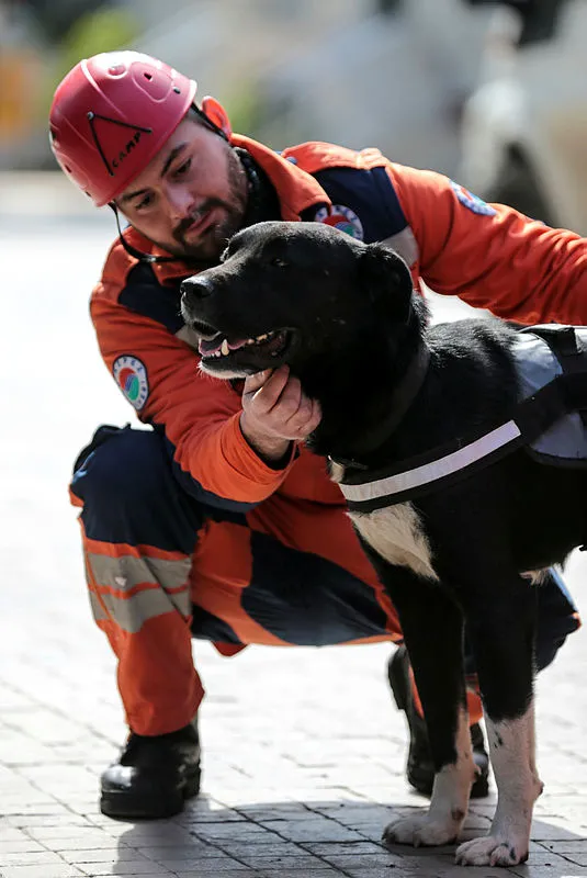 enkazdan-cikartilan-kopek-ekibin-yeni-uyesi-oldu-hayat-baska-hayatlari-kurtaracak-1677056882438.jpg Enkazdan çıkartılan köpek ekibin yeni üyesi oldu! "Hayat" başka hayatları kurtaracak - 2