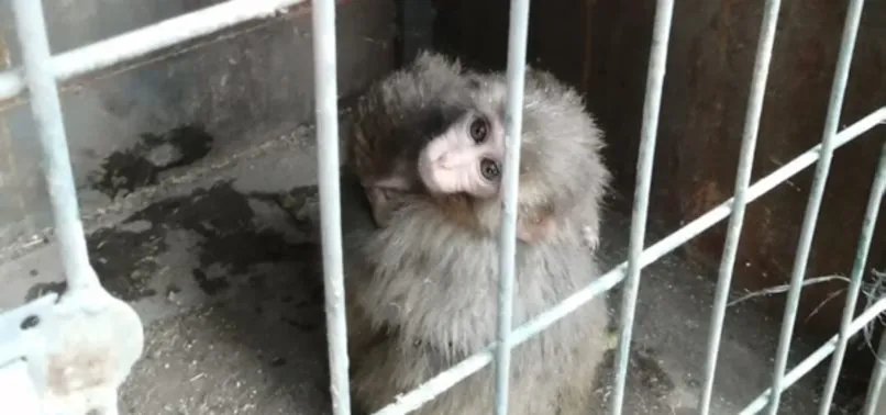 Yurda kaçak yolla sokmak istediler! Sınırda yakalandı