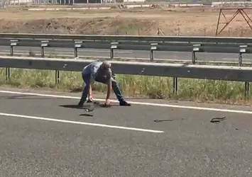 Canını hiçe saydı, otoyoldan lastik topladı