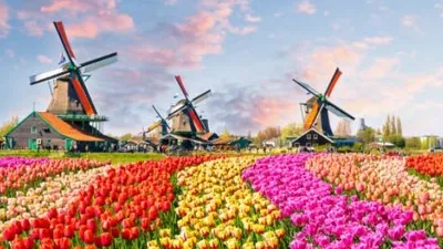 Denizin altındaki ülke: Hollanda