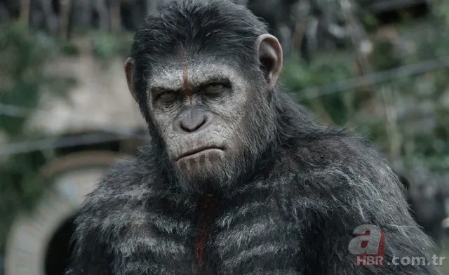 Game of Thrones hakkında merak edilen gerçek! 14