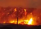 Şanlıurfa’da dehşet anları