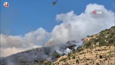 Şarköy’de makilik alanda yangın çıktı