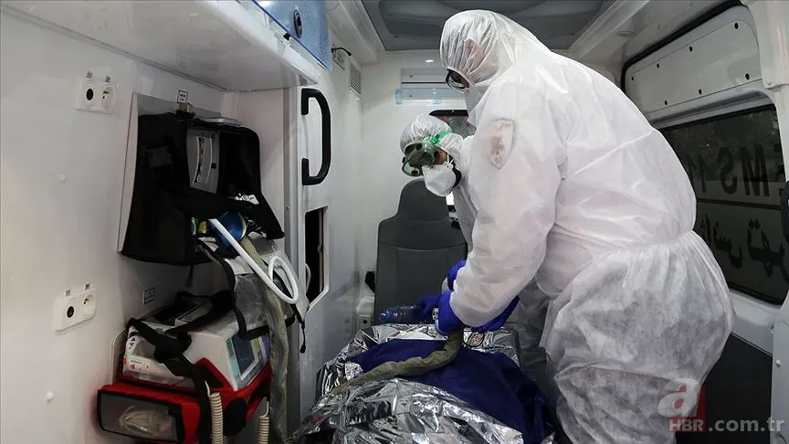 Yeni virüs mü çıktı? Hanta virüsü bulaşıcı mı? Hanta virüsü belirtileri nelerdir? Hantavirüs salgını var mı? 12