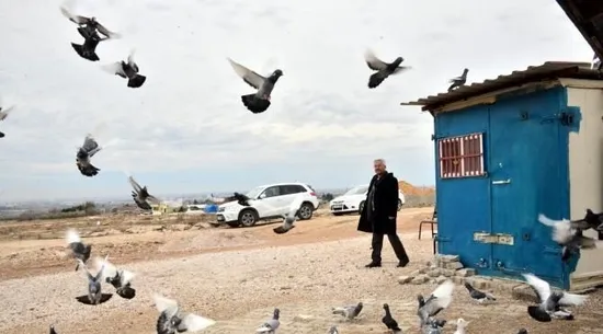 Adana'da kepçeyle duvarı delerek güvercin çaldılar - 2