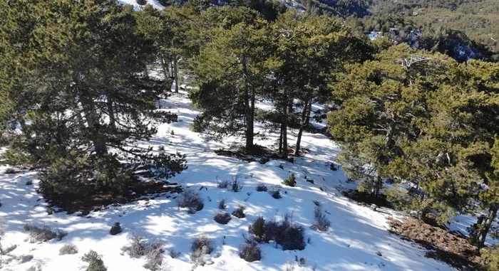 denizlide-13-gundur-karis-karis-aranan-19-yasindaki-gencten-kahreden-haber-1644759929028.jpg Denizli’de 13 gündür karış karış aranan 19 yaşındaki gençten kahreden haber - 1