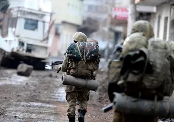 Lice operasyonu tamamlandı