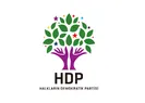 HDP milletvekilinin pasaportuna el konuldu!