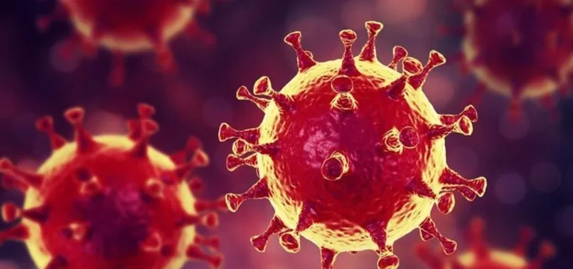 Koronavirüs sonunda bitiyor! İşte masadaki 3 senaryo! DSÖ'nün verdiği tarih sonrası dünyayı umutlandıran haber