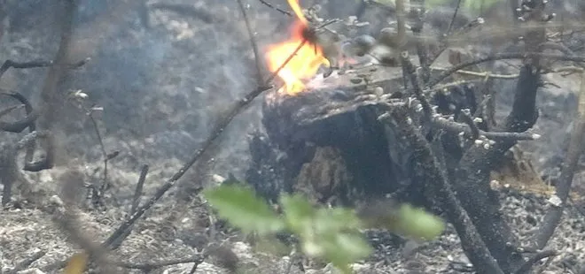 Çekmeköy’de yangın faciası! 15 dönümlük orman kül oldu