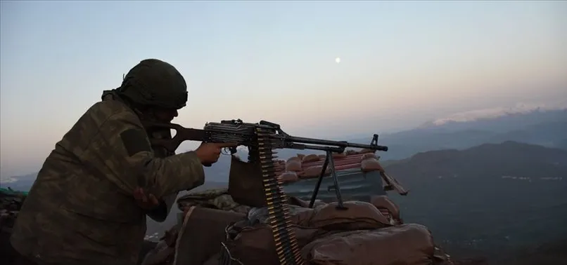 2 PKK'lı terörist teslim oldu