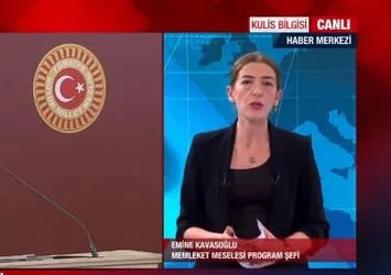 Muharrem İnce'nin esas hedefi ne? Eski İYİ Partili iki vekil İnce'nin partisine geçecek mi? Emine Kavasoğlu canlı yayında açıkladı!
