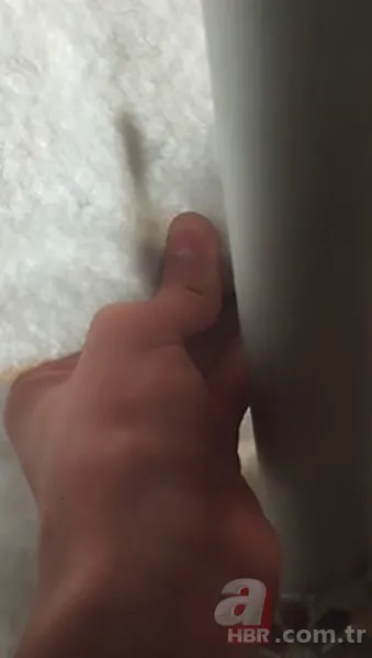 Çadırda yılan paniği! Demir çubukla... 🐍 3