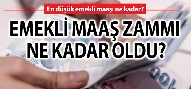 SSK, SGK, Bağkur emekli maaşı zammı hesaplama: 2019 Emekli maaşı ne kadar oldu?