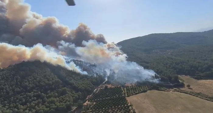 izmirde-3-ilcede-yangin-havadan-ve-karadan-mudahale-suruyor-1719675939132.jpg İzmir'deki 3 yangın kontrol altına alındı! Bakan Yumaklı yangınların çıkış nedenini açıkladı - 9