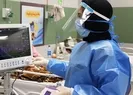 Brezilya mutasyonu Çekyaya da sıçradı!