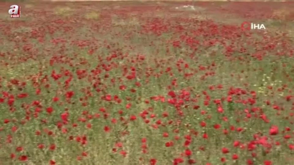 Mersin’de tabloyu andıran görüntü