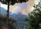 Seydikemer’de orman yangını çıktı