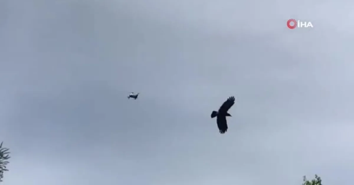 Kargadan drone saldırısı |Video