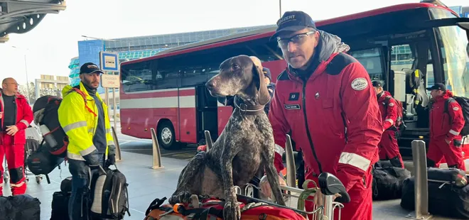 En doğru verileri onlar veriyor! Hayat kurtaran köpekler: Canlı ile cansız arasındaki koku farkını ayırt edebiliyorlar